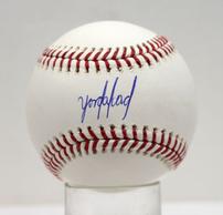 YORDAN ALVAREZ AUTOGRAPHED BASEBALL 202//194